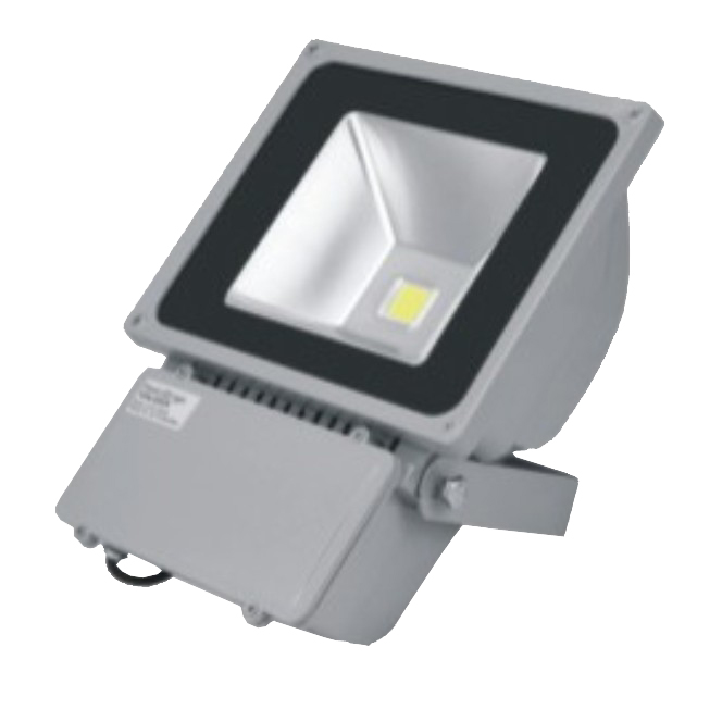 100W LED Flood Light