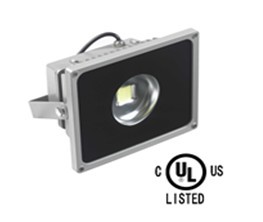 50W LED Flood Light