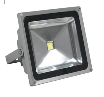 30W Flood Light